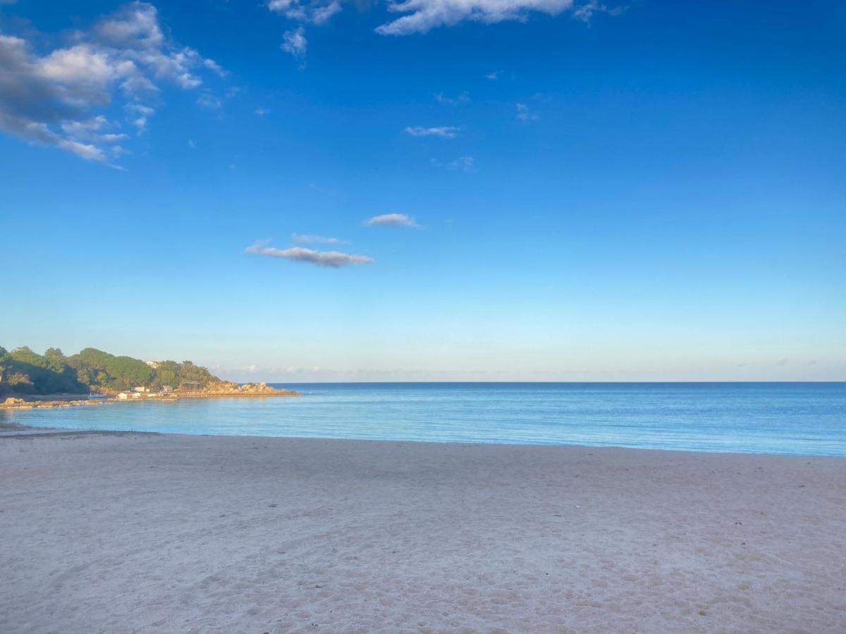 Les Lodges De La Plage U Dragulinu サリ・ソランザラ エクステリア 写真